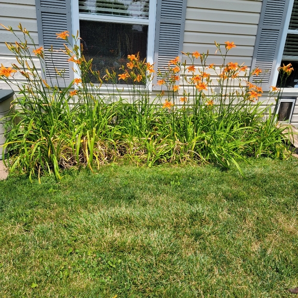 Meet your Posher, Gale - Picture 3 of 7